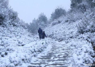 好看小姐姐雪景背景图片,邂逅冬日里的美丽倩影