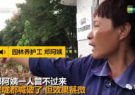 抖音轩姨网红吃瓜,揭秘网红幕后故事
